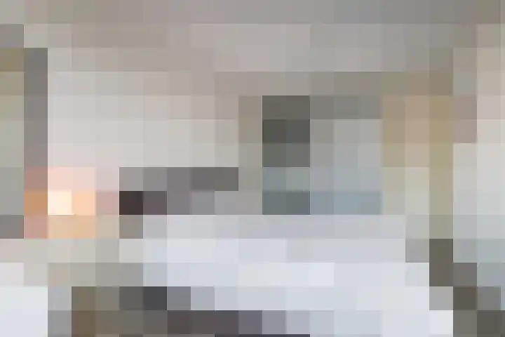 Fluitekruidweide 33 Woerden thumbnail 42