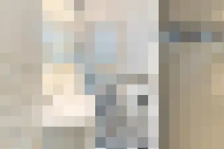 Fluitekruidweide 33 Woerden thumbnail 46
