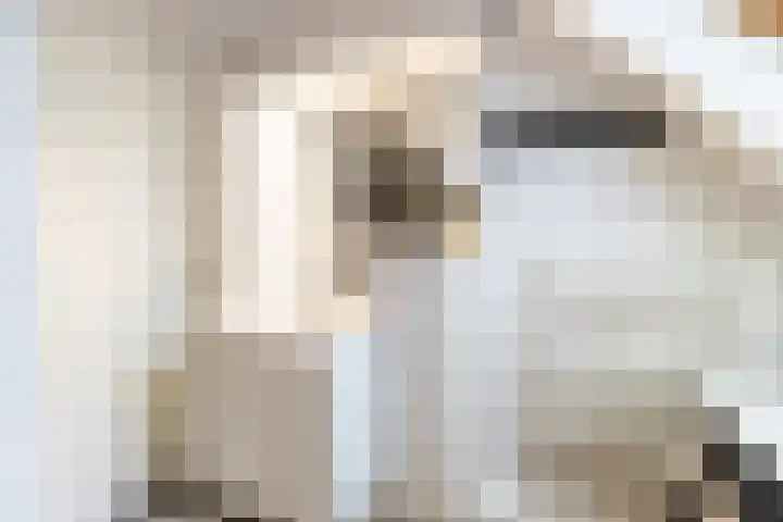 Fluitekruidweide 33 Woerden thumbnail 47