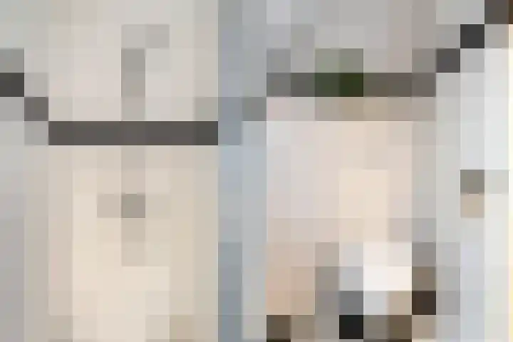 Fluitekruidweide 33 Woerden thumbnail 48