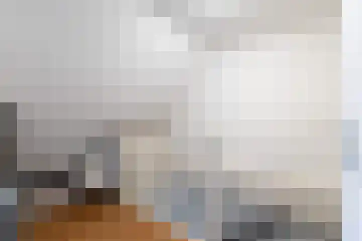 Fluitekruidweide 33 Woerden thumbnail 49