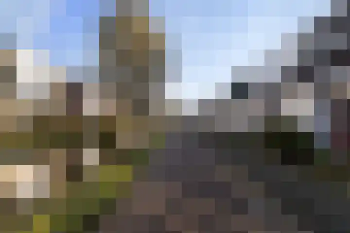 Fluitekruidweide 33 Woerden thumbnail 5
