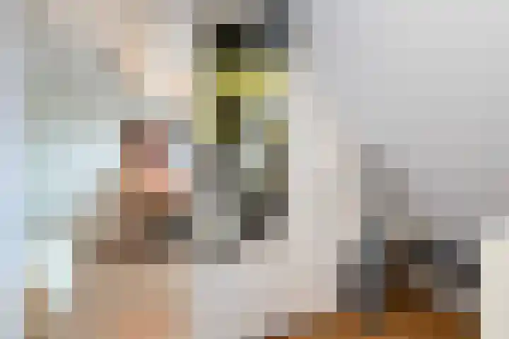 Fluitekruidweide 33 Woerden thumbnail 50