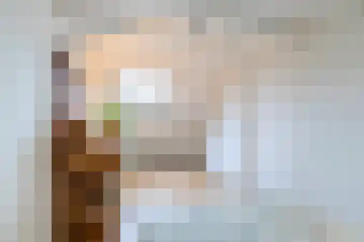Fluitekruidweide 33 Woerden thumbnail 52