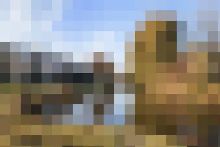 Fluitekruidweide 33 Woerden thumbnail 54
