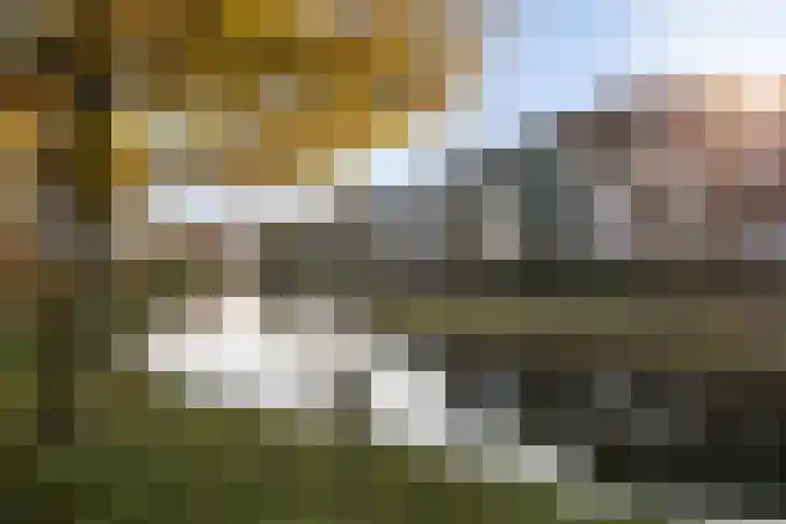 Fluitekruidweide 33 Woerden thumbnail 55