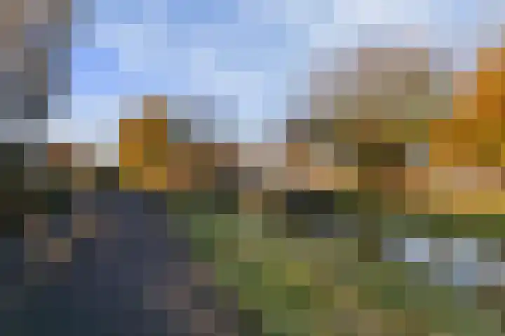 Fluitekruidweide 33 Woerden thumbnail 59