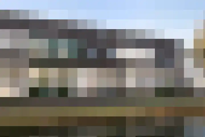 Fluitekruidweide 33 Woerden thumbnail 60