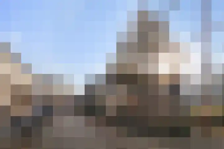 Fluitekruidweide 33 Woerden thumbnail 61
