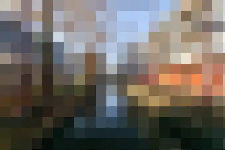 Fluitekruidweide 33 Woerden thumbnail 62