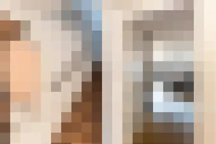 Fluitekruidweide 33 Woerden thumbnail 7