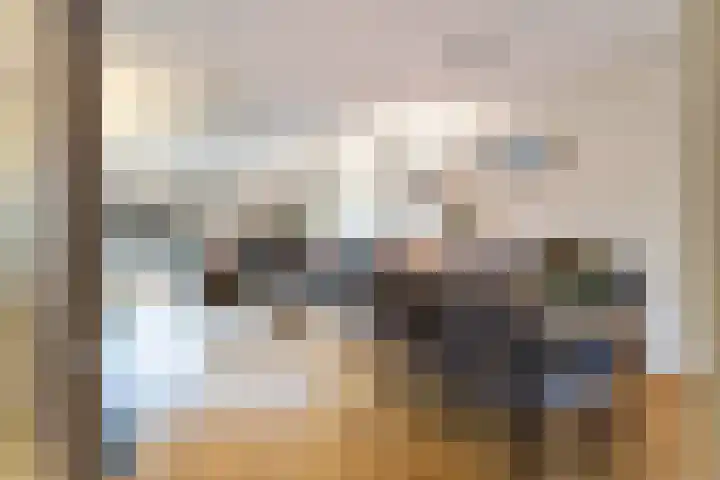 Fluitekruidweide 33 Woerden thumbnail 8