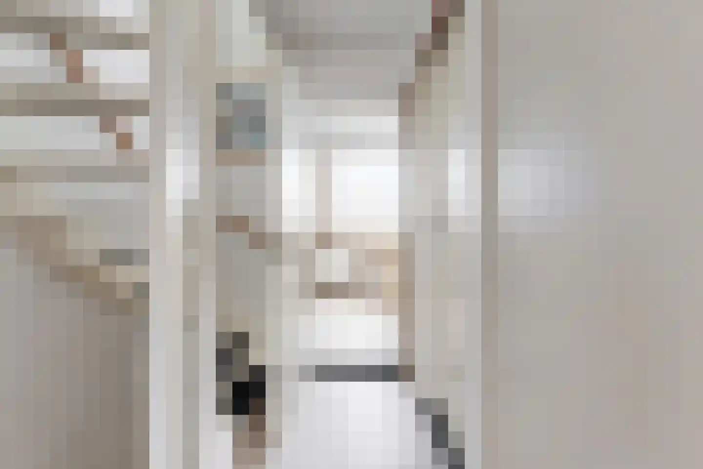Fluitekruidweide 37 Woerden thumbnail 12