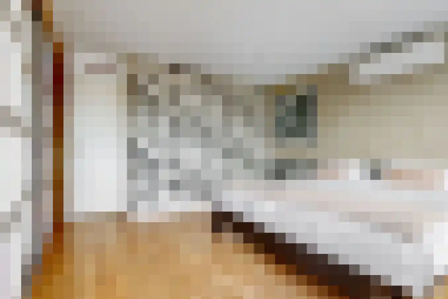 Fluitekruidweide 37 Woerden thumbnail 15