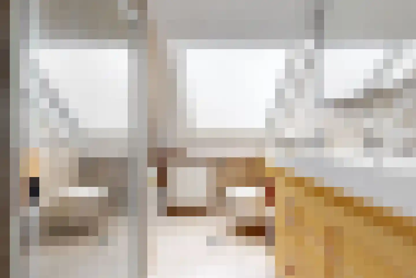 Fluitekruidweide 37 Woerden thumbnail 18