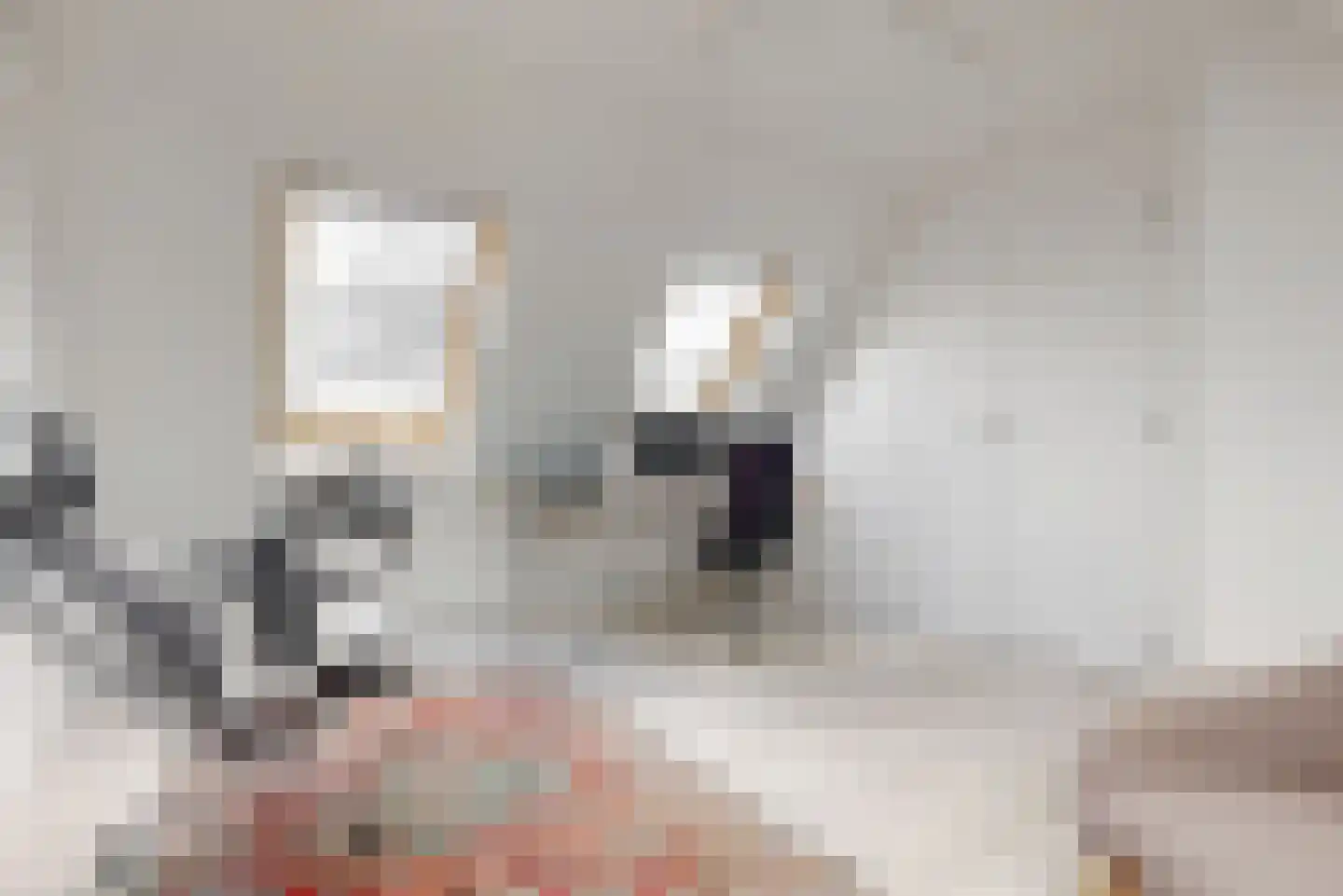 Fluitekruidweide 37 Woerden thumbnail 22