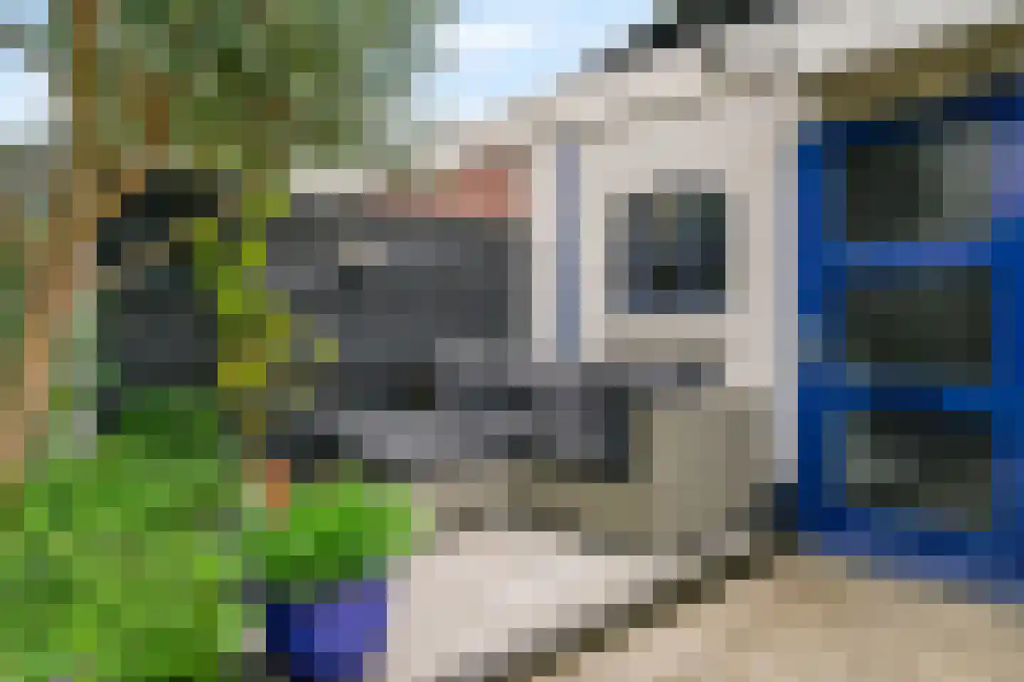 Fluitekruidweide 37 Woerden thumbnail 25