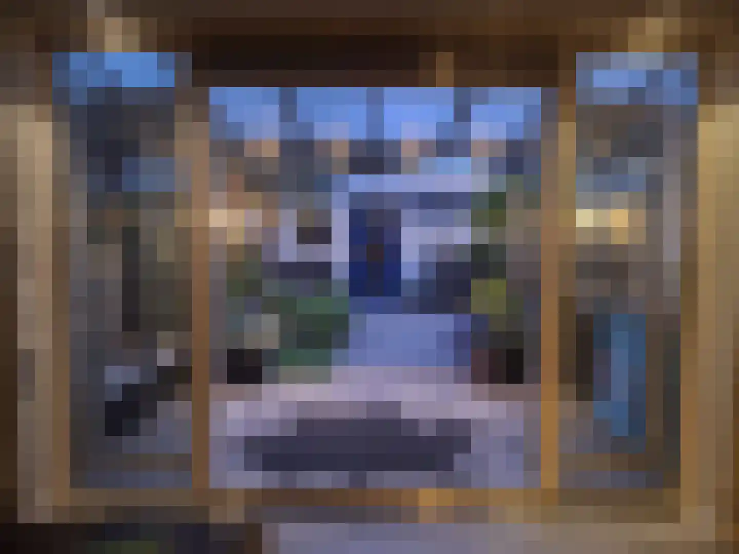 Fluitekruidweide 37 Woerden thumbnail 29