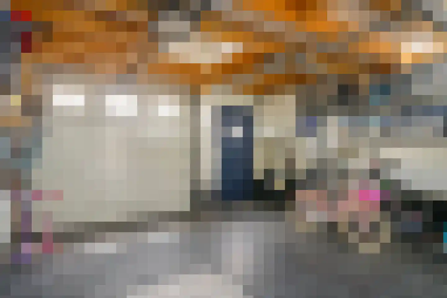 Fluitekruidweide 37 Woerden thumbnail 32
