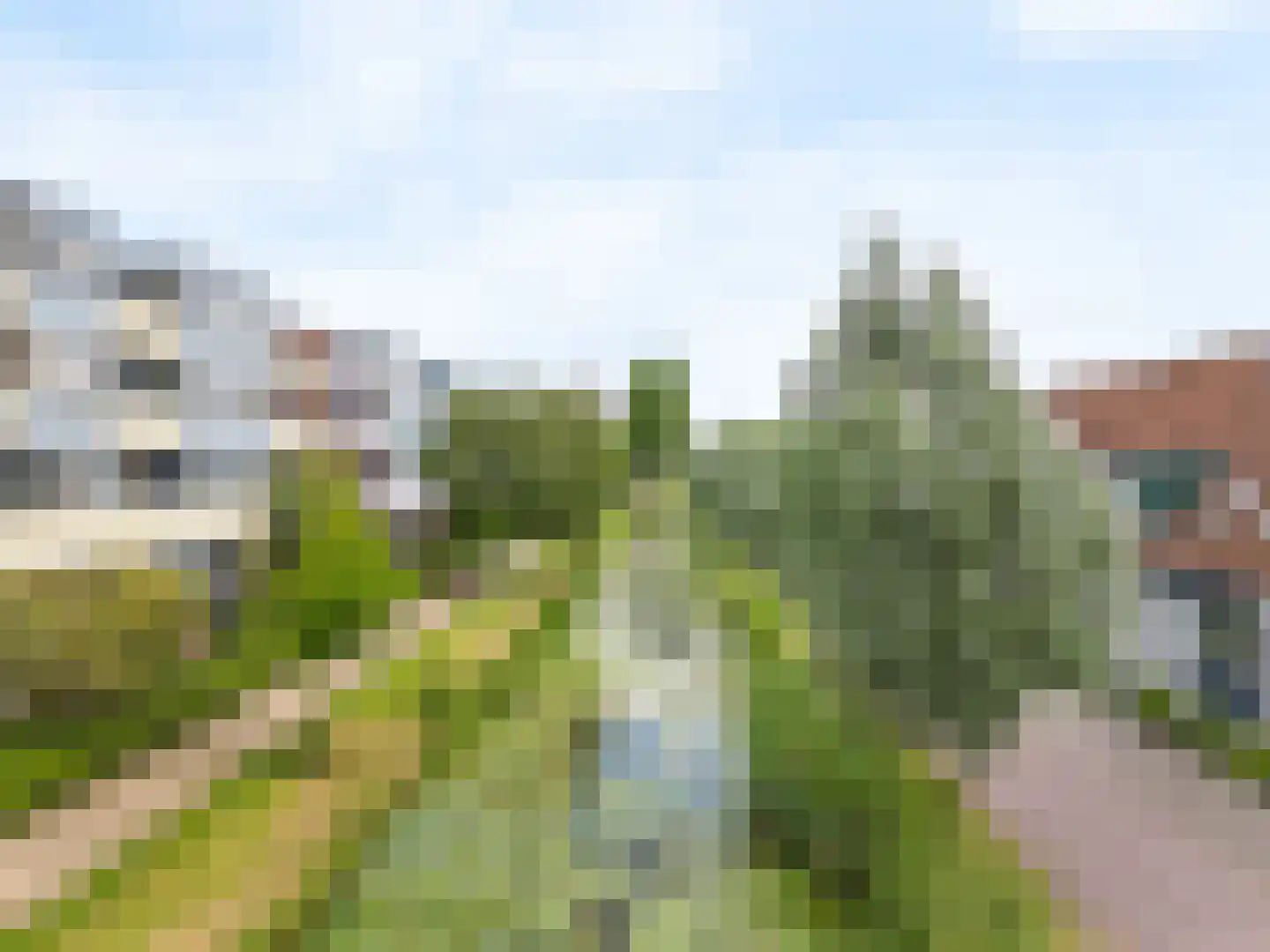Fluitekruidweide 37 Woerden thumbnail 38