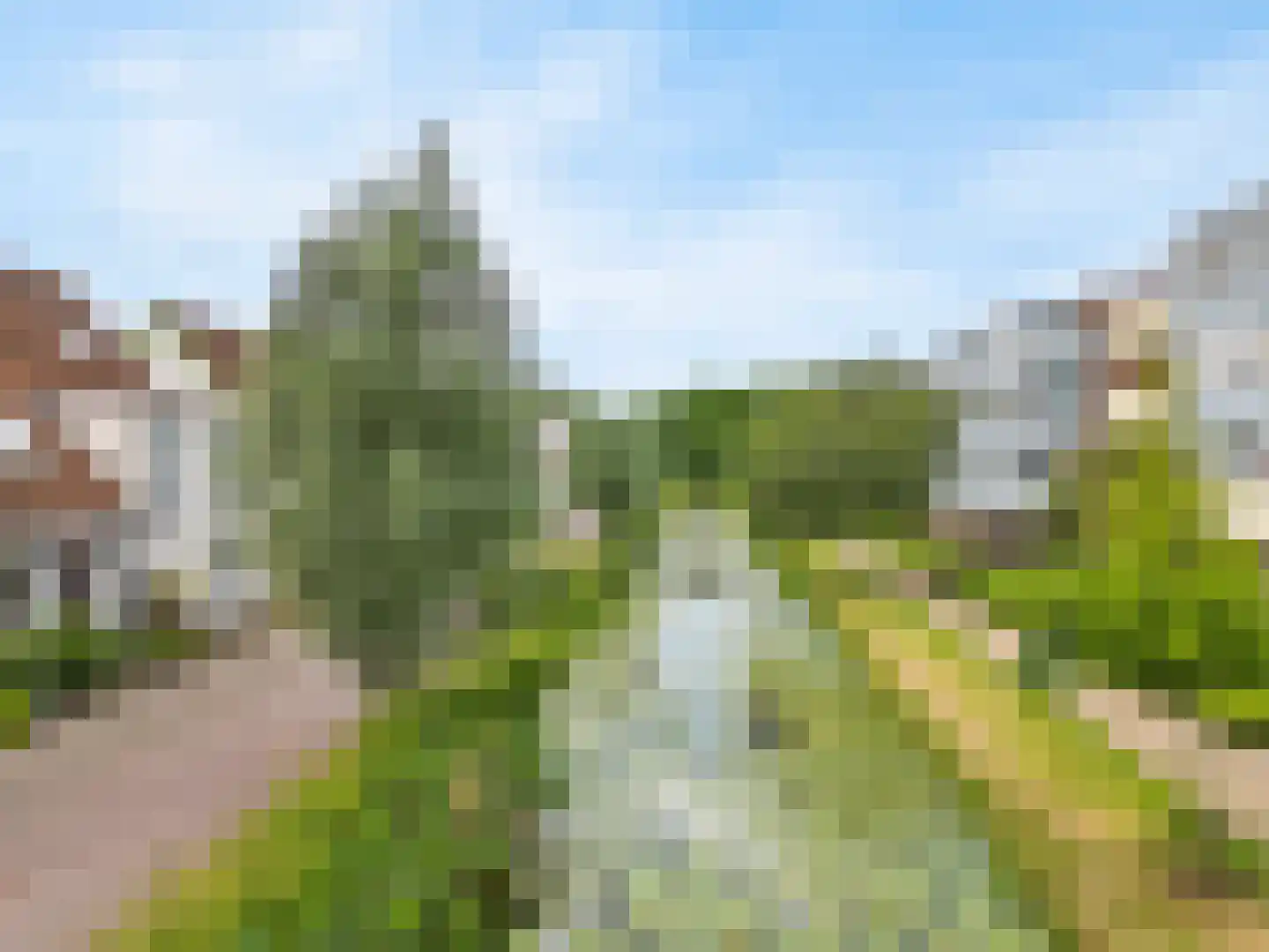 Fluitekruidweide 37 Woerden thumbnail 39