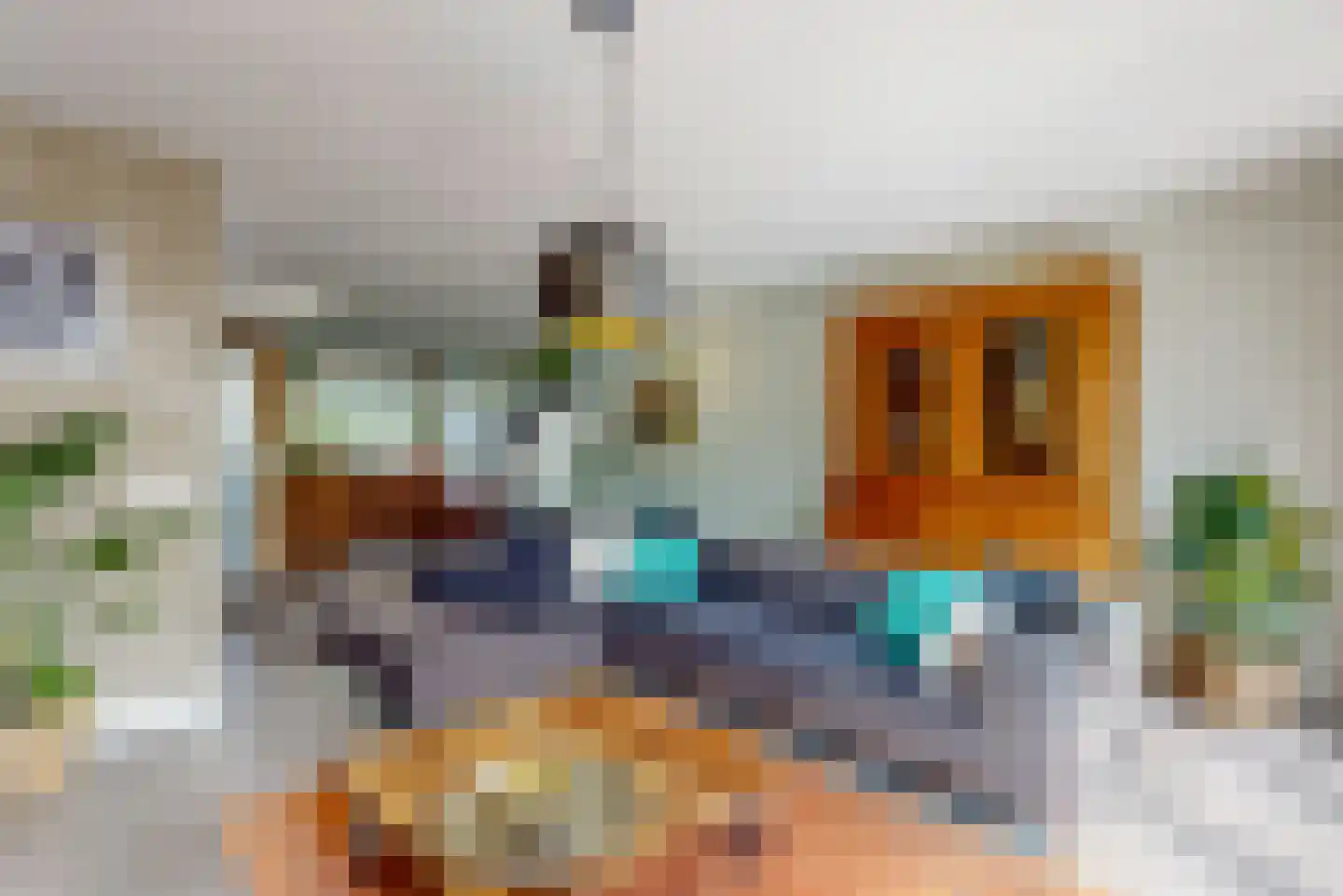 Fluitekruidweide 37 Woerden thumbnail 5