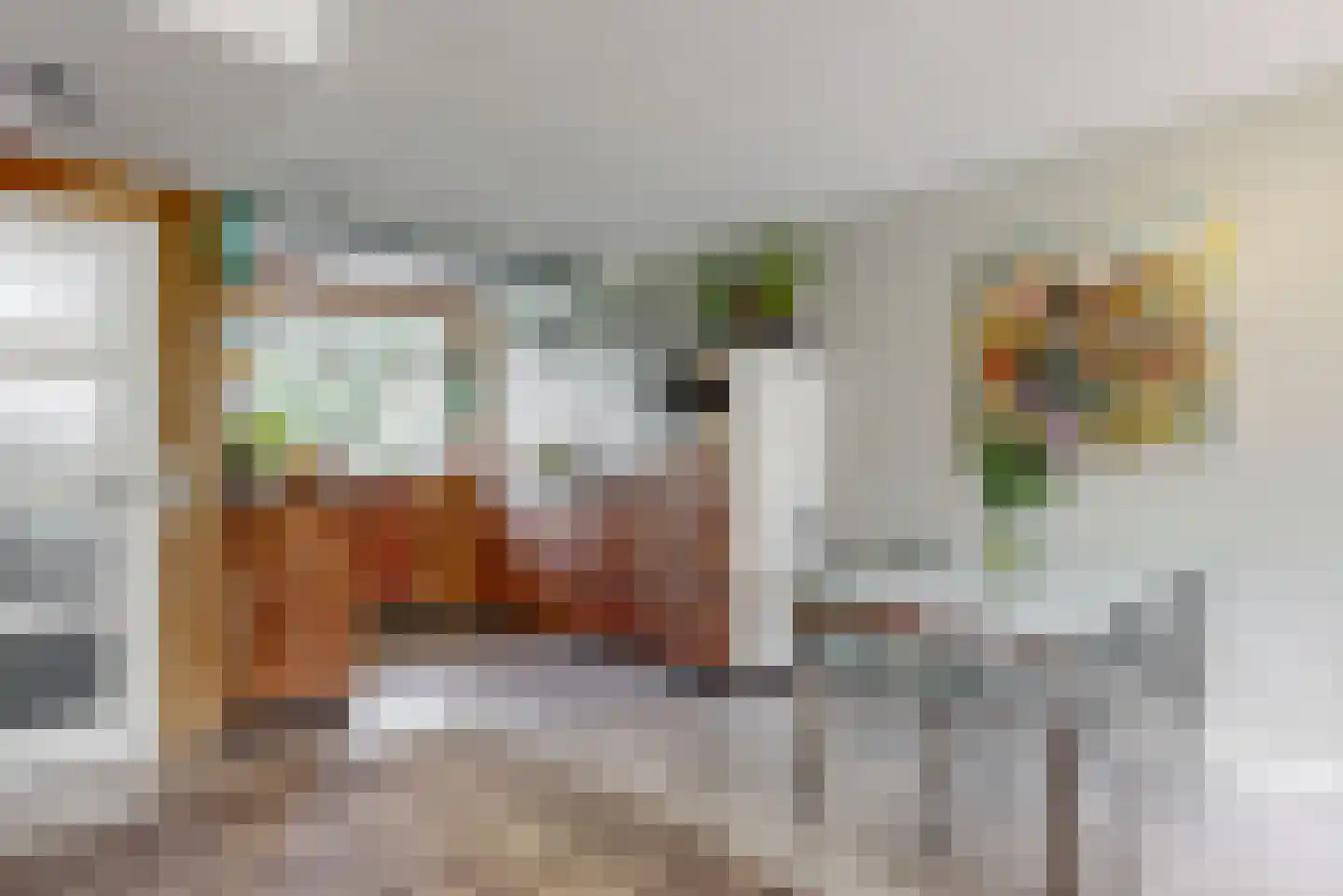 Fluitekruidweide 37 Woerden thumbnail 8