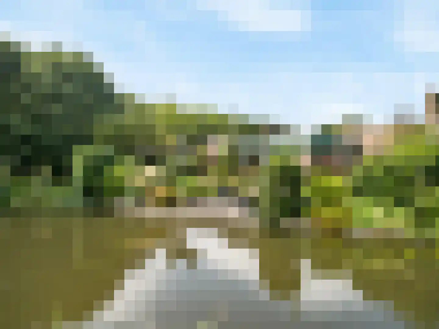 Fluitekruidzoom 36 in Leiderdorp