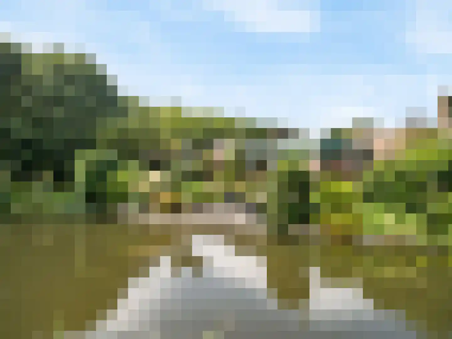 Fluitekruidzoom 36 Leiderdorp