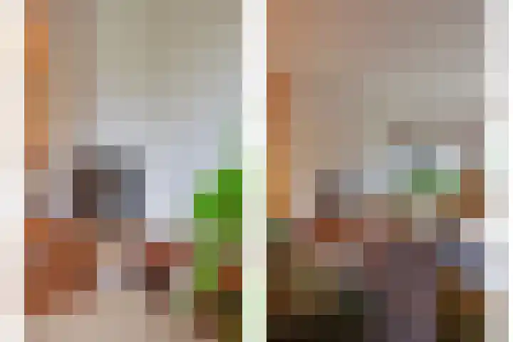 Fluitekruidzoom 8 Leiderdorp thumbnail 11