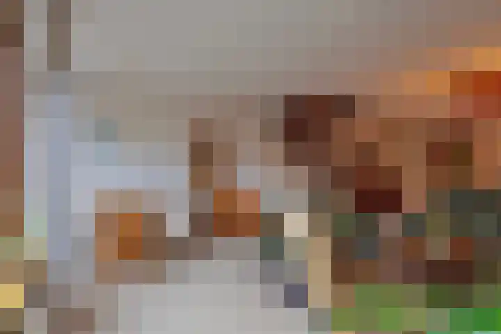 Fluitekruidzoom 8 Leiderdorp thumbnail 13