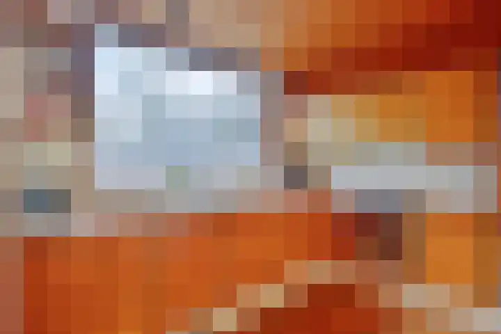 Fluitekruidzoom 8 Leiderdorp thumbnail 18