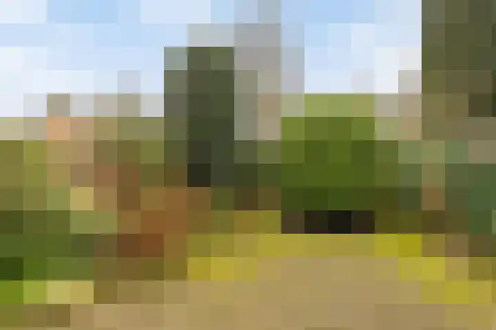 Fluitekruidzoom 8 Leiderdorp thumbnail 20