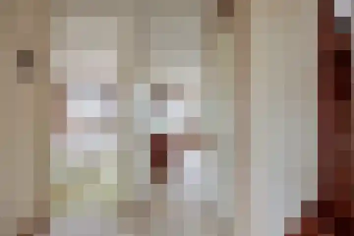 Fluitekruidzoom 8 Leiderdorp thumbnail 23