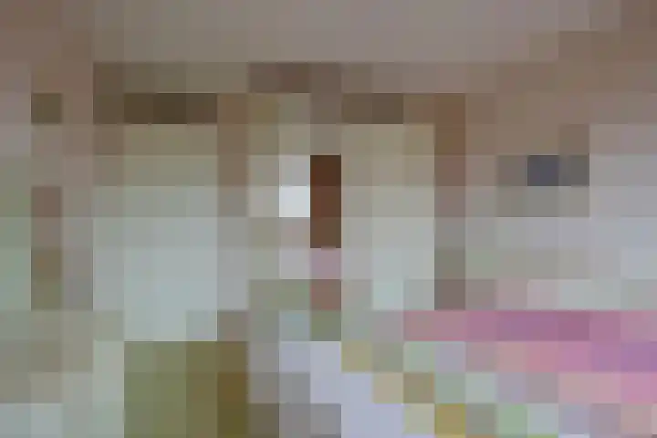 Fluitekruidzoom 8 Leiderdorp thumbnail 29