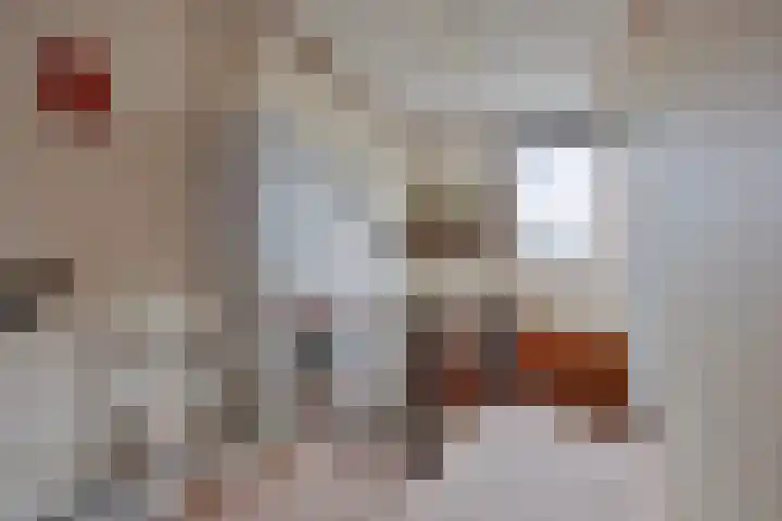 Fluitekruidzoom 8 Leiderdorp thumbnail 32