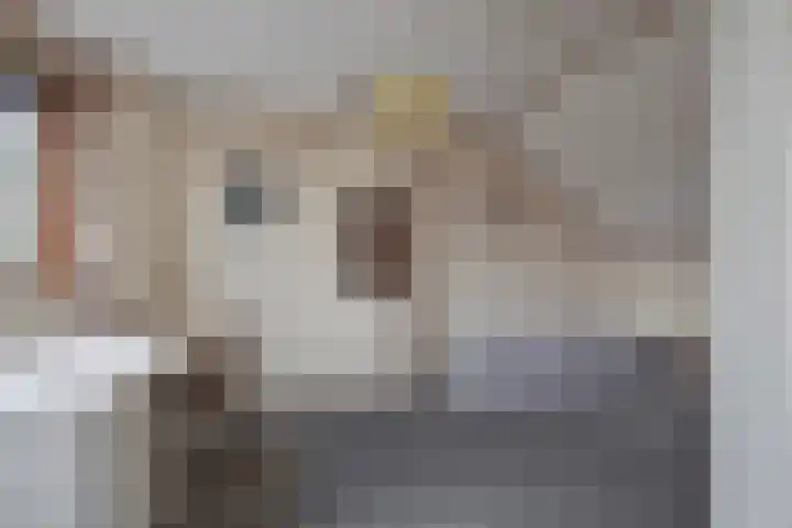 Fluitekruidzoom 8 Leiderdorp thumbnail 34