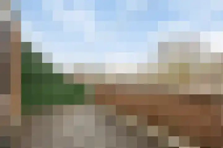 Fluitekruidzoom 8 Leiderdorp thumbnail 37
