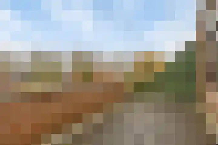 Fluitekruidzoom 8 Leiderdorp thumbnail 38