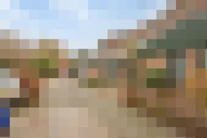 Fluitekruidzoom 8 Leiderdorp thumbnail 39