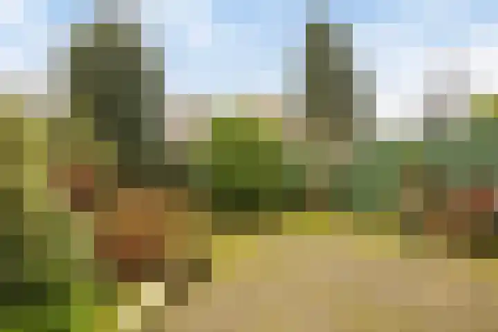 Fluitekruidzoom 8 Leiderdorp thumbnail 4