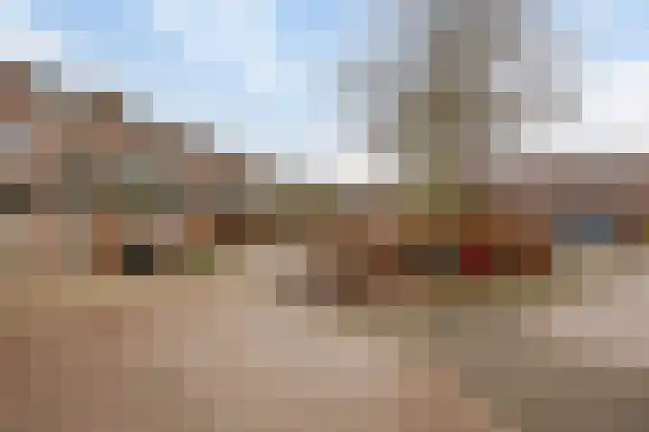 Fluitekruidzoom 8 Leiderdorp thumbnail 43