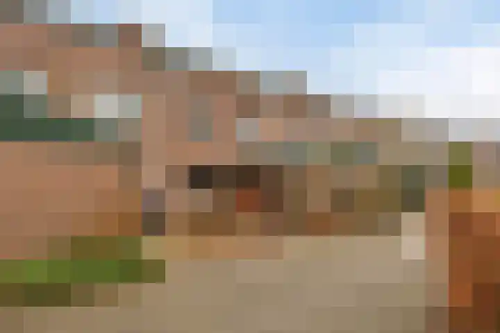 Fluitekruidzoom 8 Leiderdorp thumbnail 5