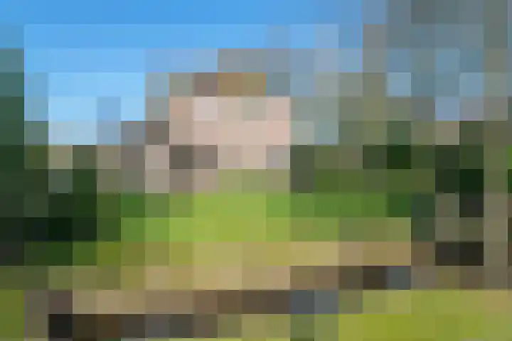 Fluitenbergseweg-Oost 12 in Fluitenberg