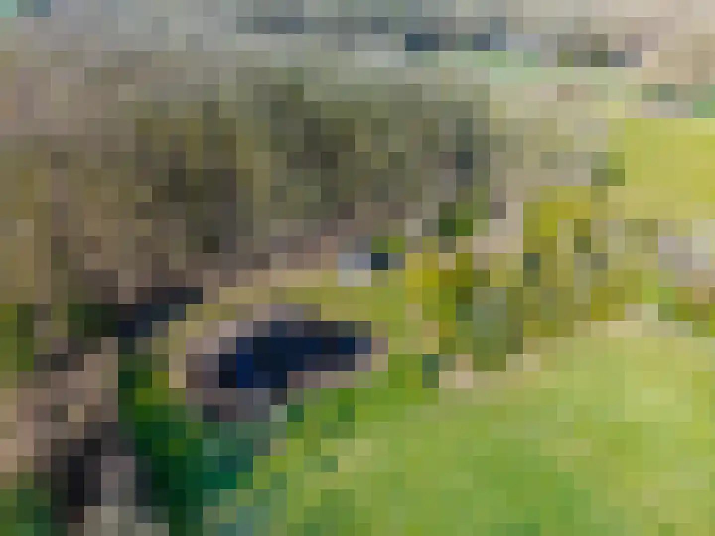 Fluitenbergseweg-Oost 12 Fluitenberg thumbnail 67