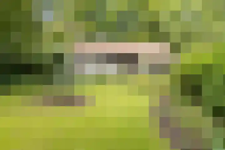 Fluitenbergseweg-Oost 6 in Fluitenberg