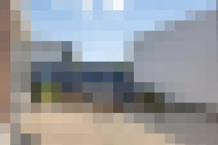 Fluitenkruid 19 Berghem thumbnail 15