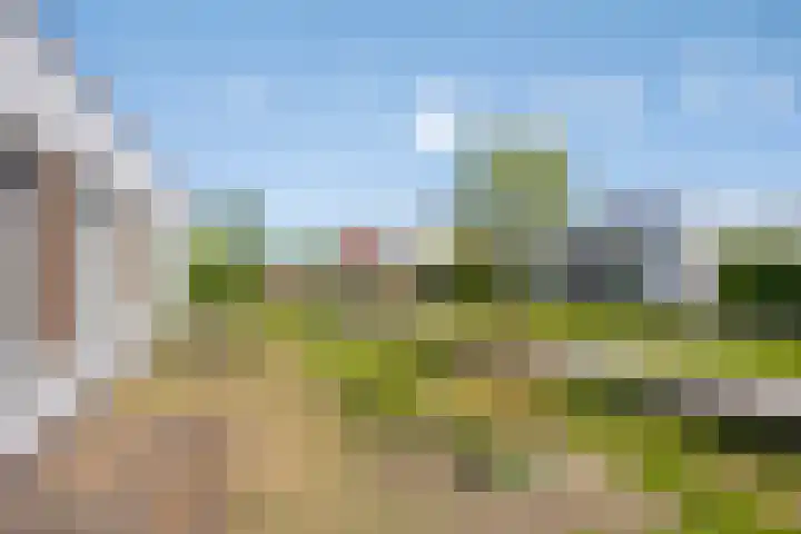 Fluitenkruid 19 Berghem thumbnail 16