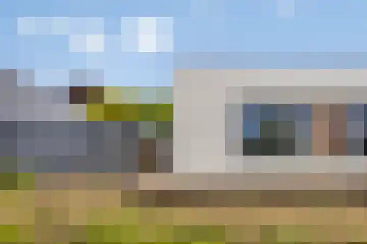 Fluitenkruid 19 Berghem thumbnail 18