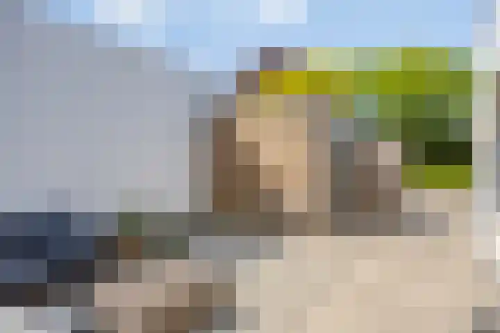 Fluitenkruid 19 Berghem thumbnail 19